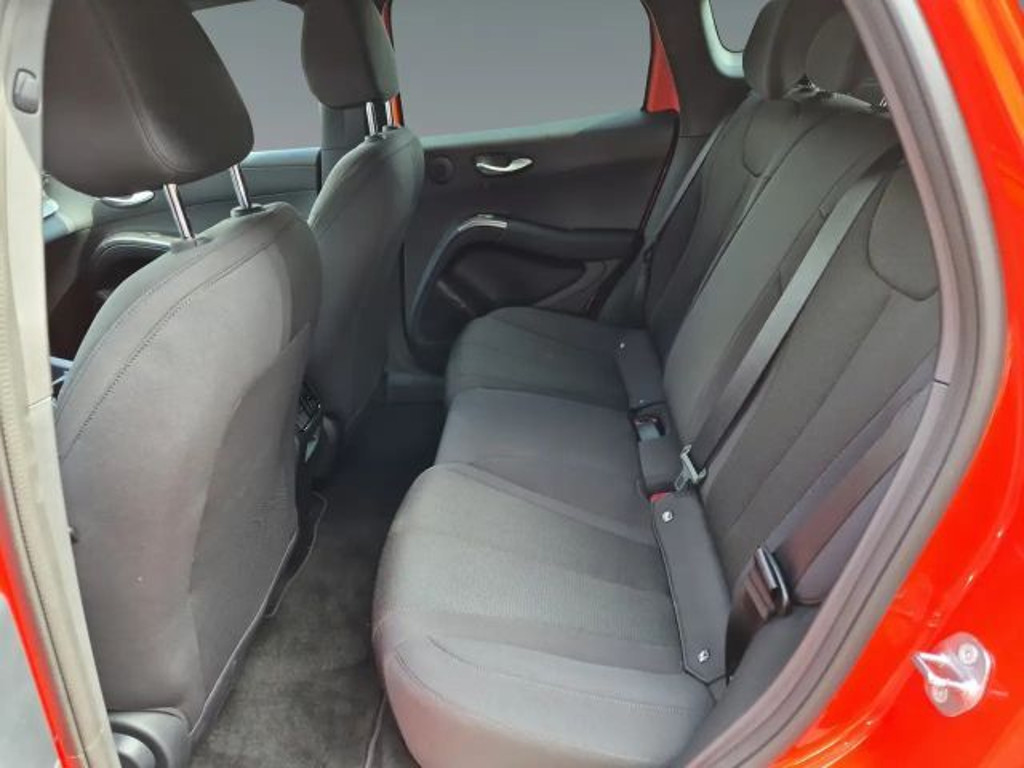 BYD Dolphin G