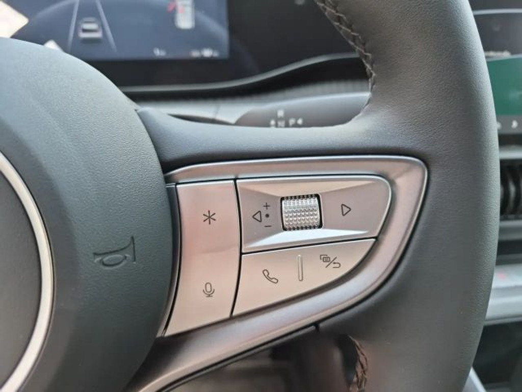 BYD Dolphin G