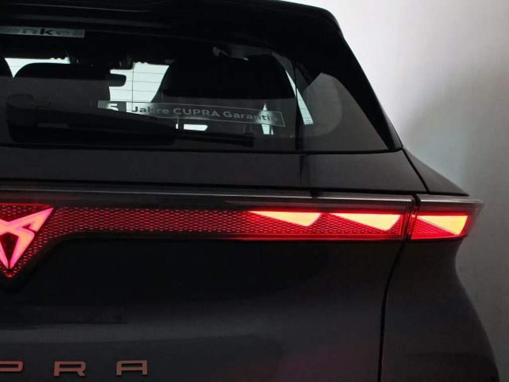 Cupra Raval
