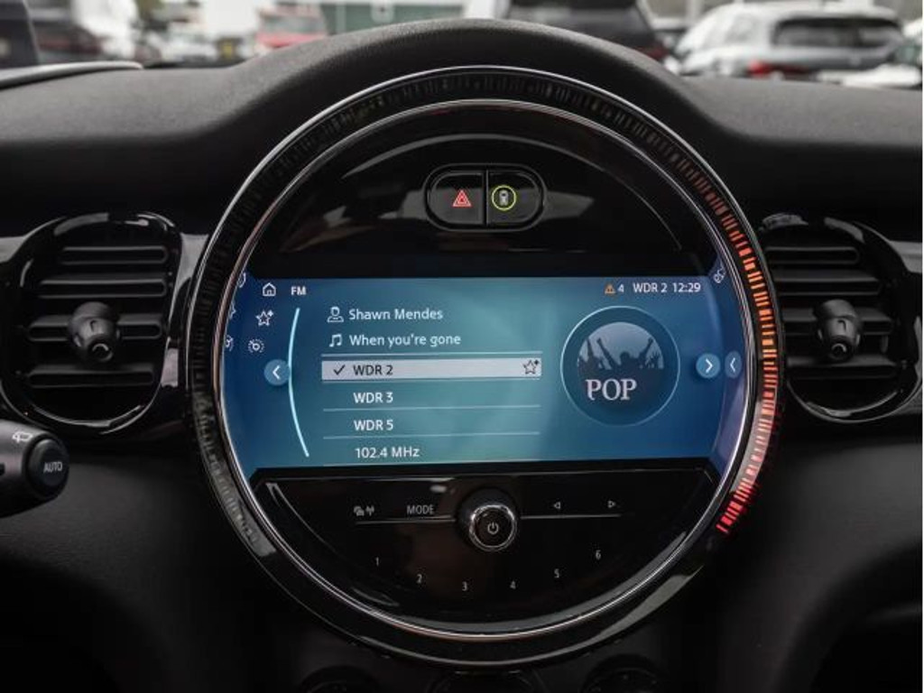 Mini Mini Electric