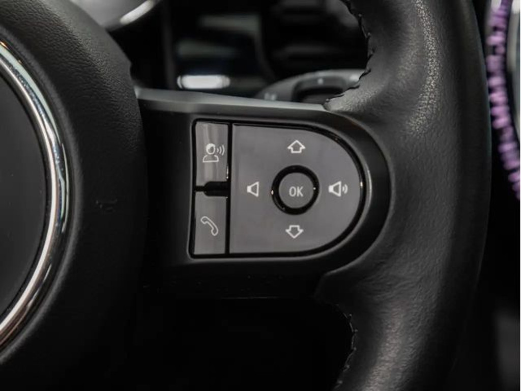 Mini Mini Electric