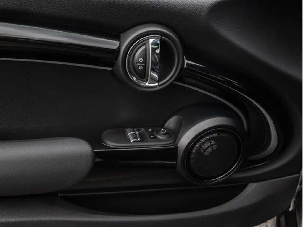Mini Mini Electric