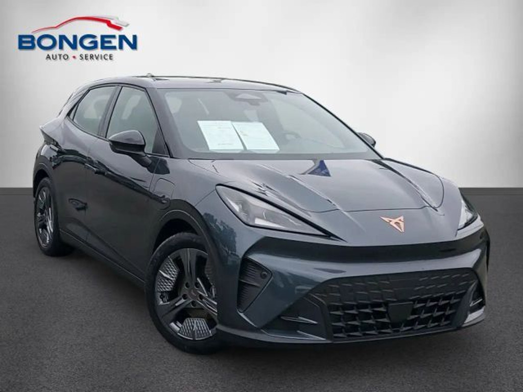Cupra Raval