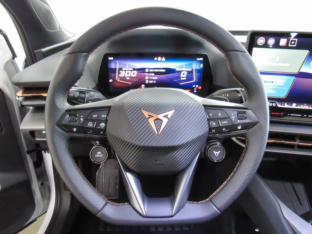Cupra Raval