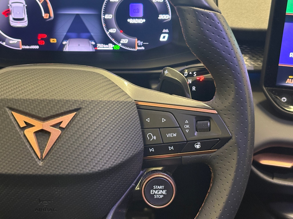 Cupra Terramar
