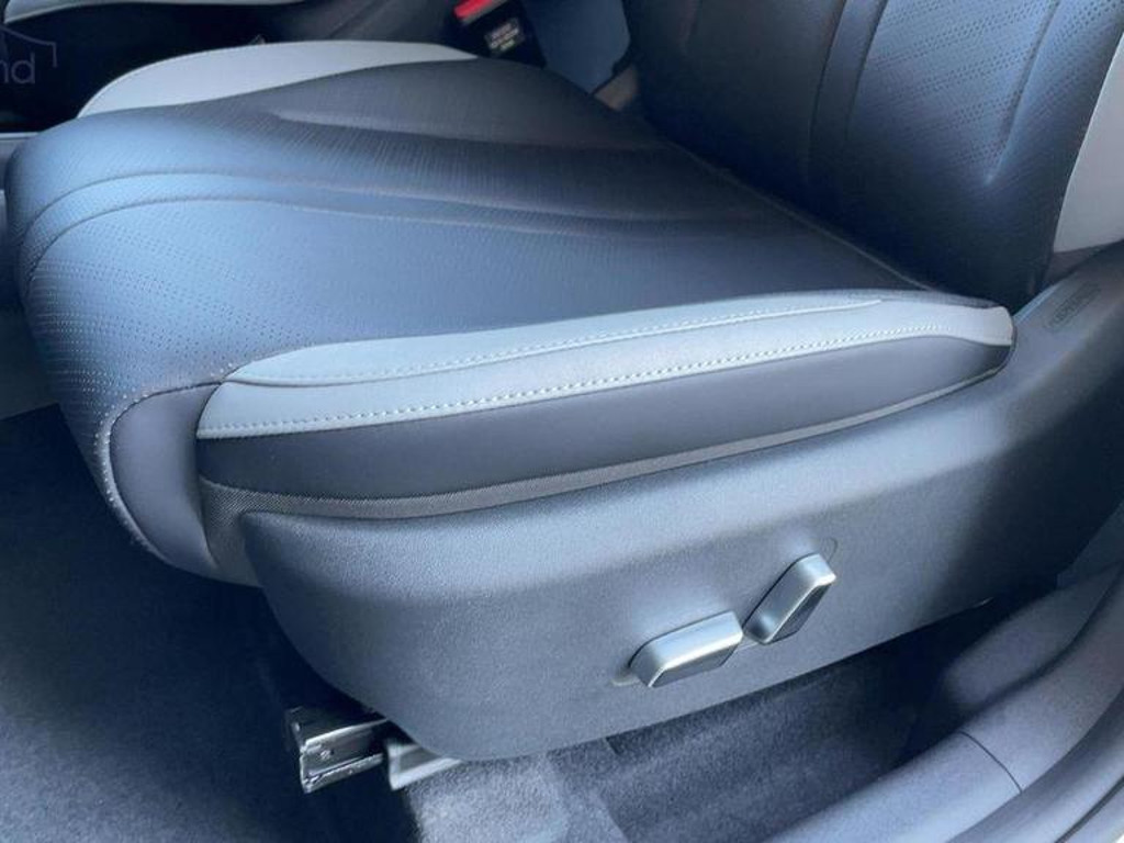 BYD Dolphin Surf