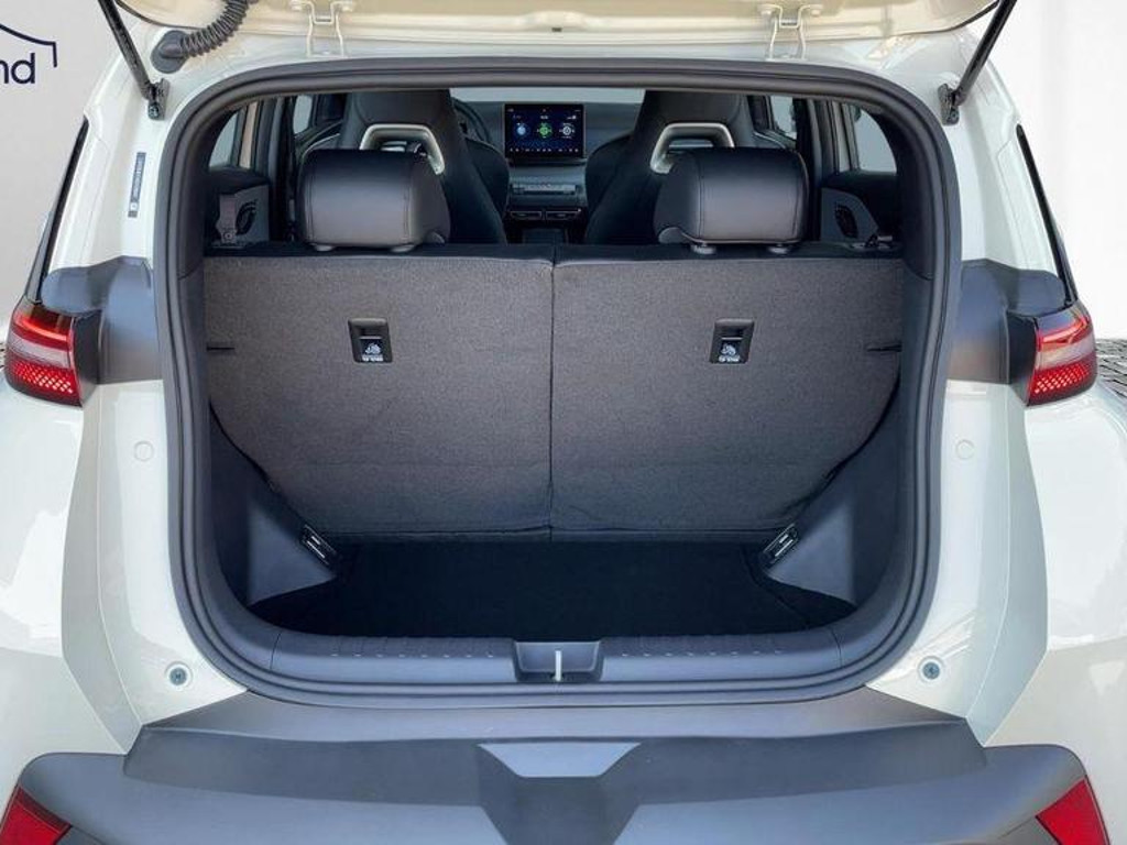 BYD Dolphin Surf