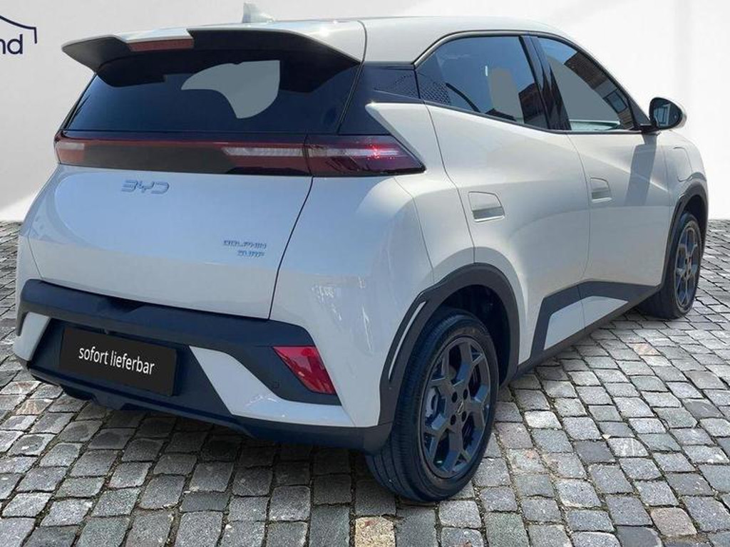 BYD Dolphin Surf