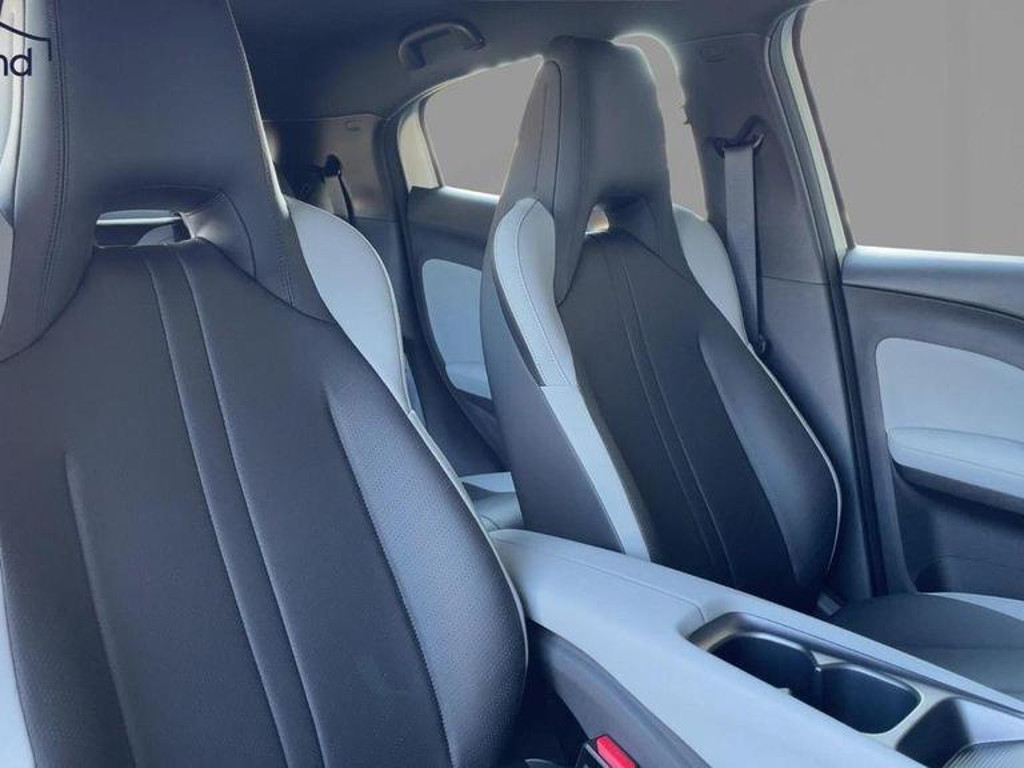 BYD Dolphin Surf
