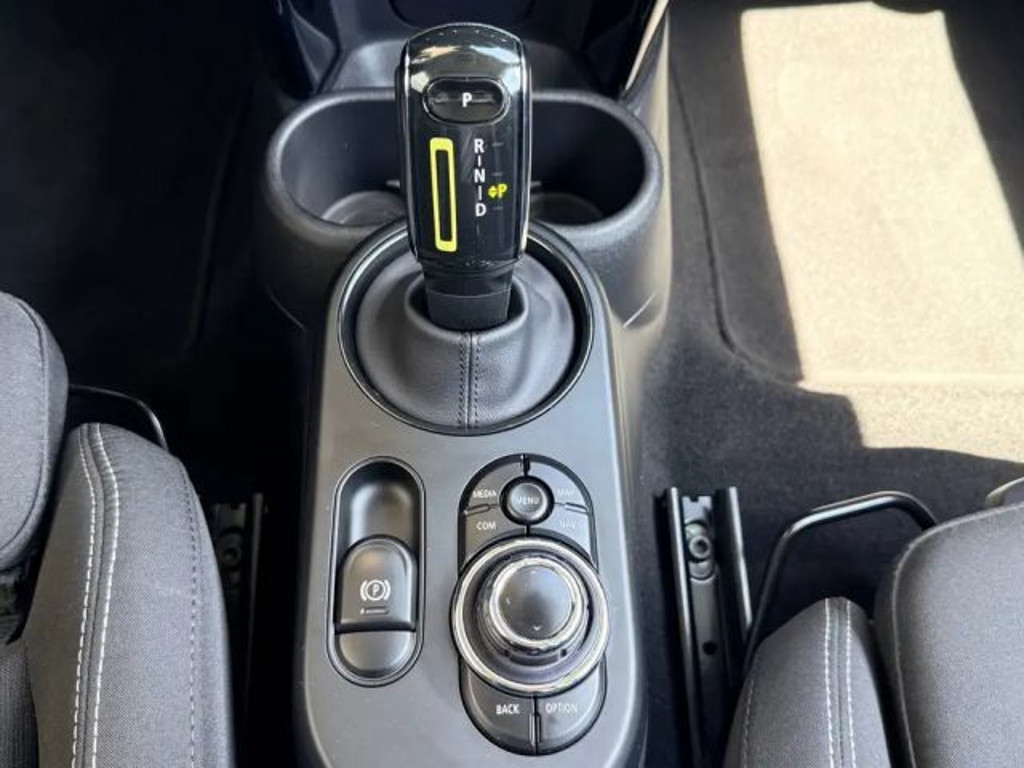 Mini Mini Electric