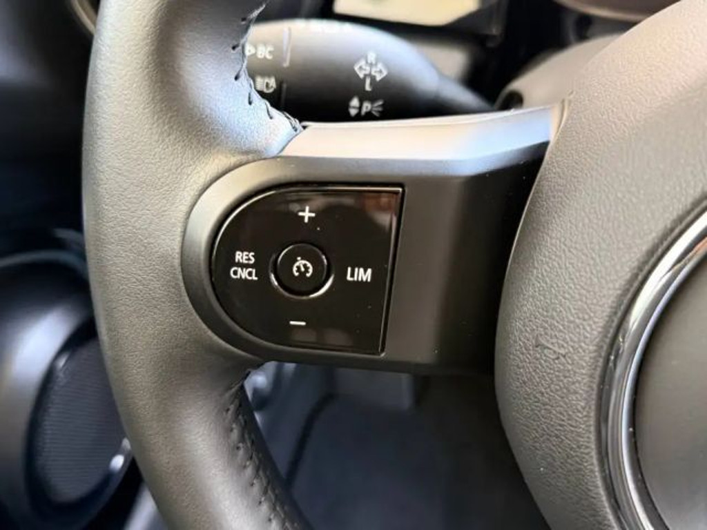 Mini Mini Electric