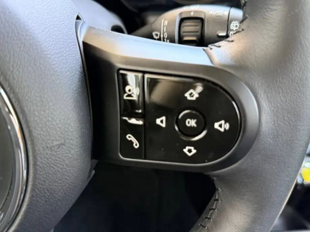 Mini Mini Electric