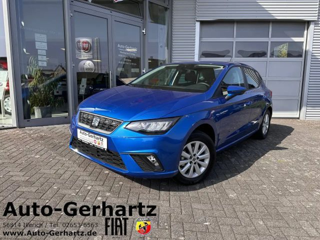 Seat Ibiza Style