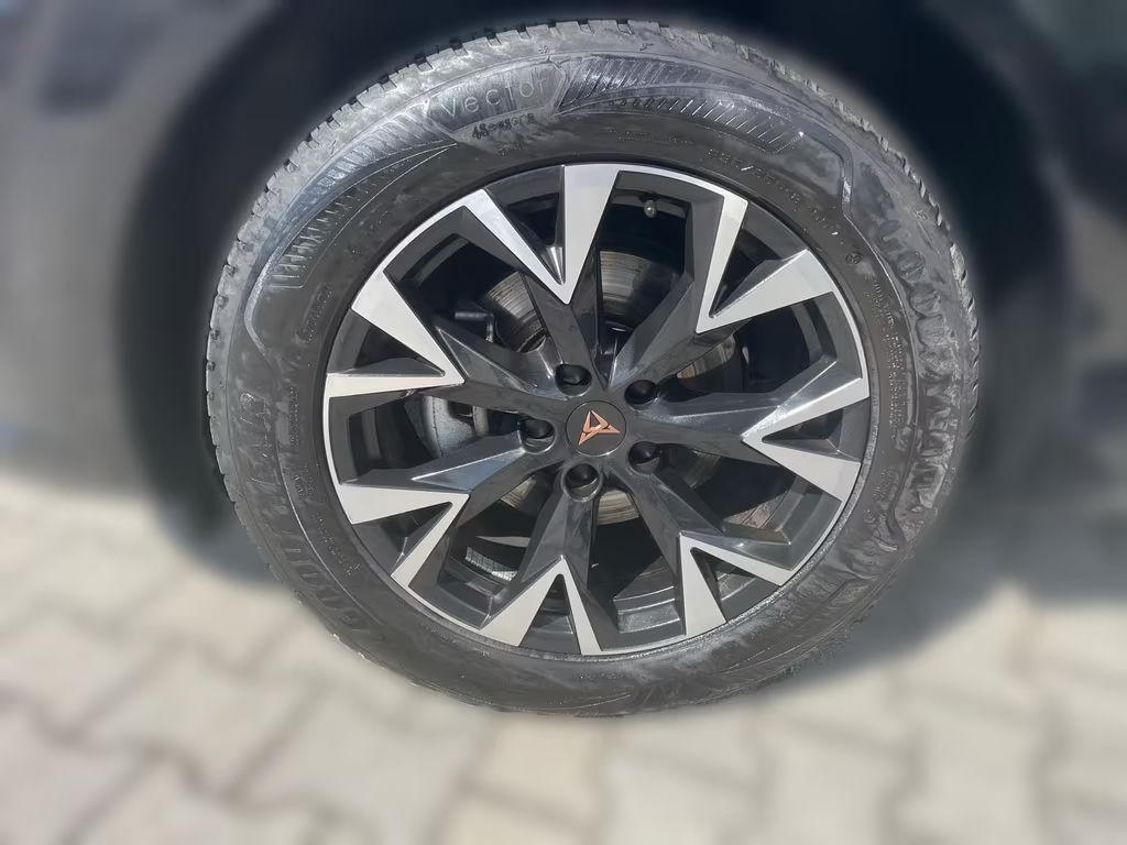 Cupra Terramar