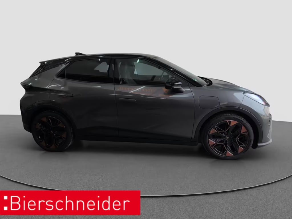 Cupra Raval