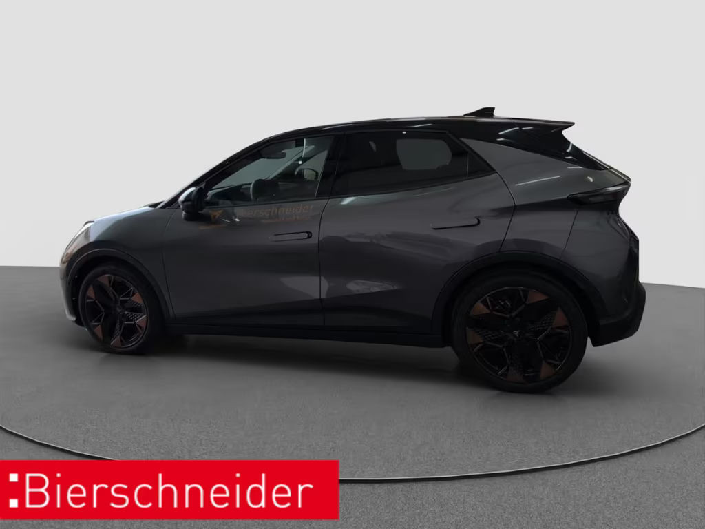 Cupra Raval