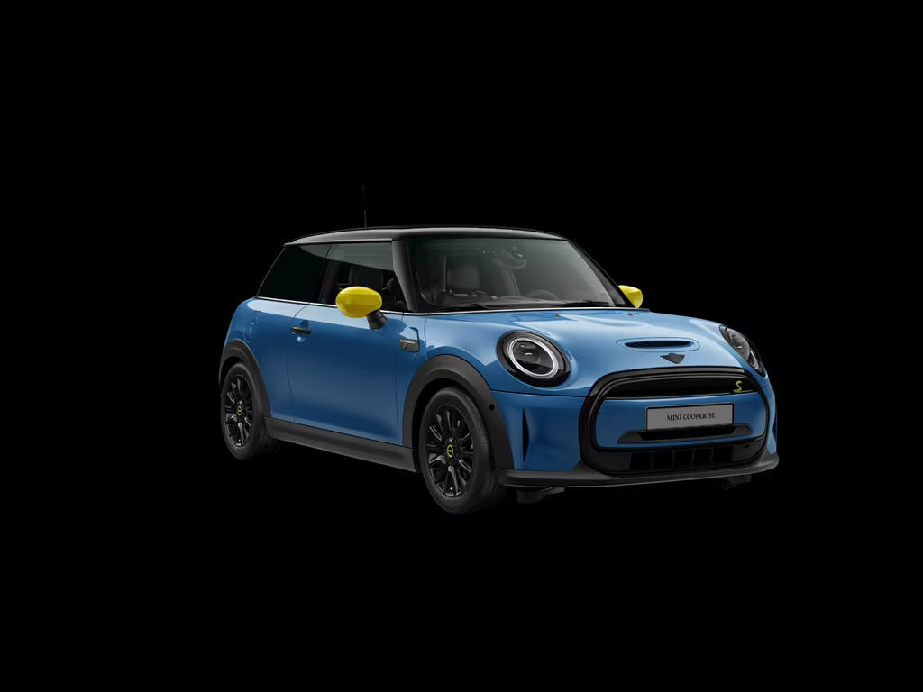 Mini Mini Electric