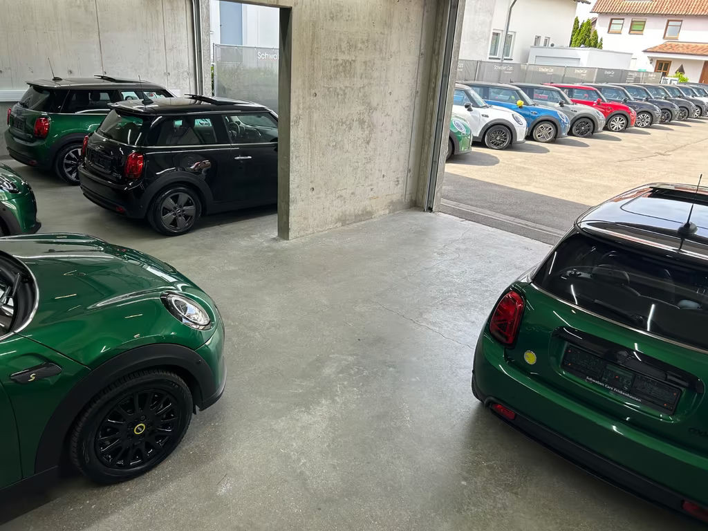 Mini Mini Electric