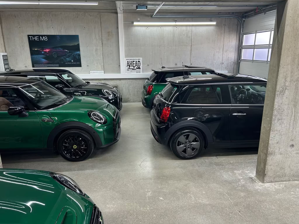 Mini Mini Electric