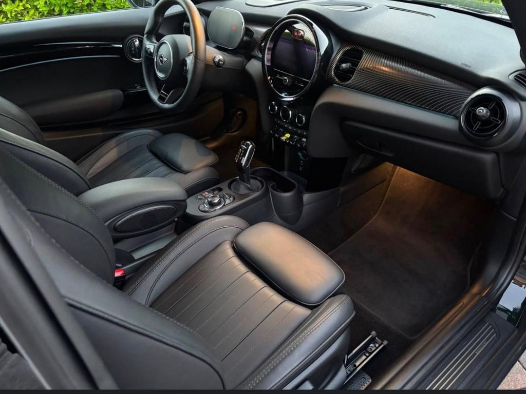 Mini Mini Electric