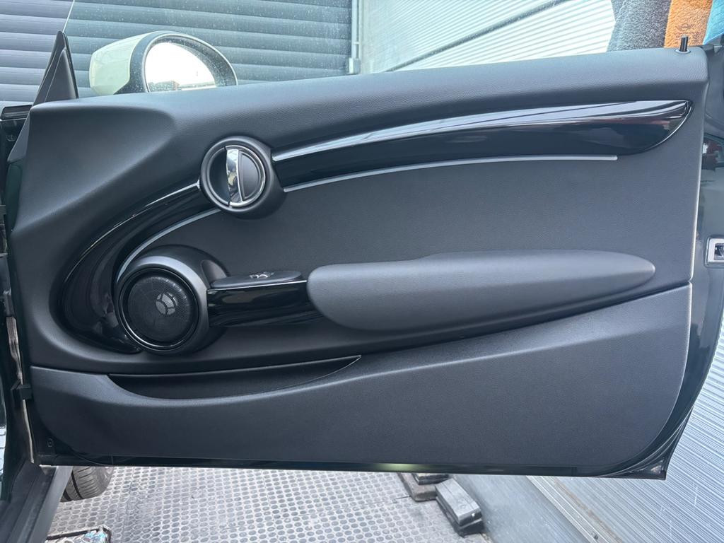 Mini Mini Electric
