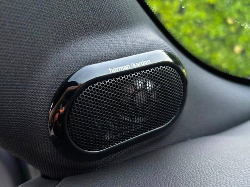 Mini Mini Electric