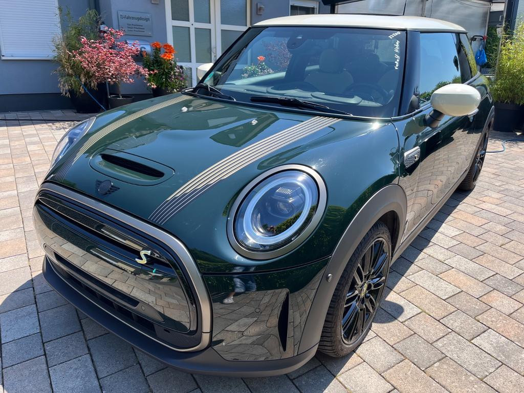 Mini Mini Electric