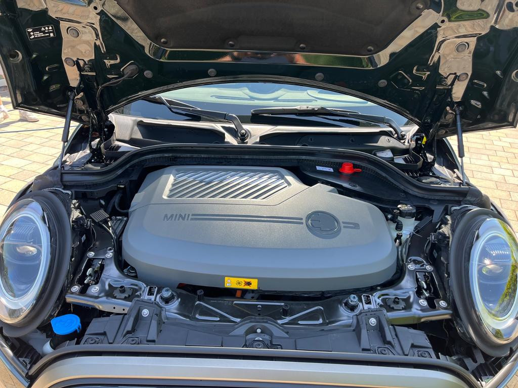 Mini Mini Electric