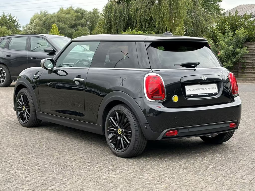 Mini Mini Electric