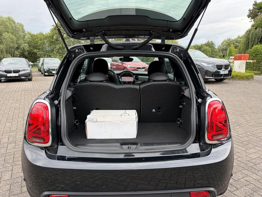 Mini Mini Electric