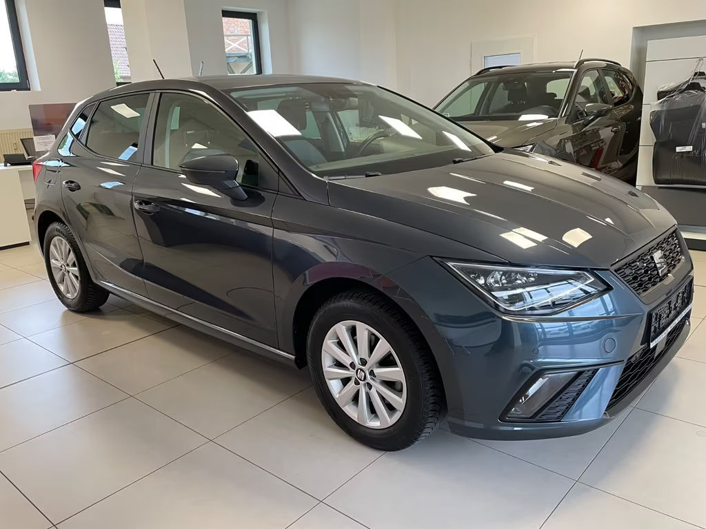 Seat Ibiza Style