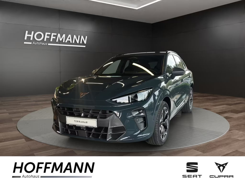 Cupra Terramar 2.0 TSI
