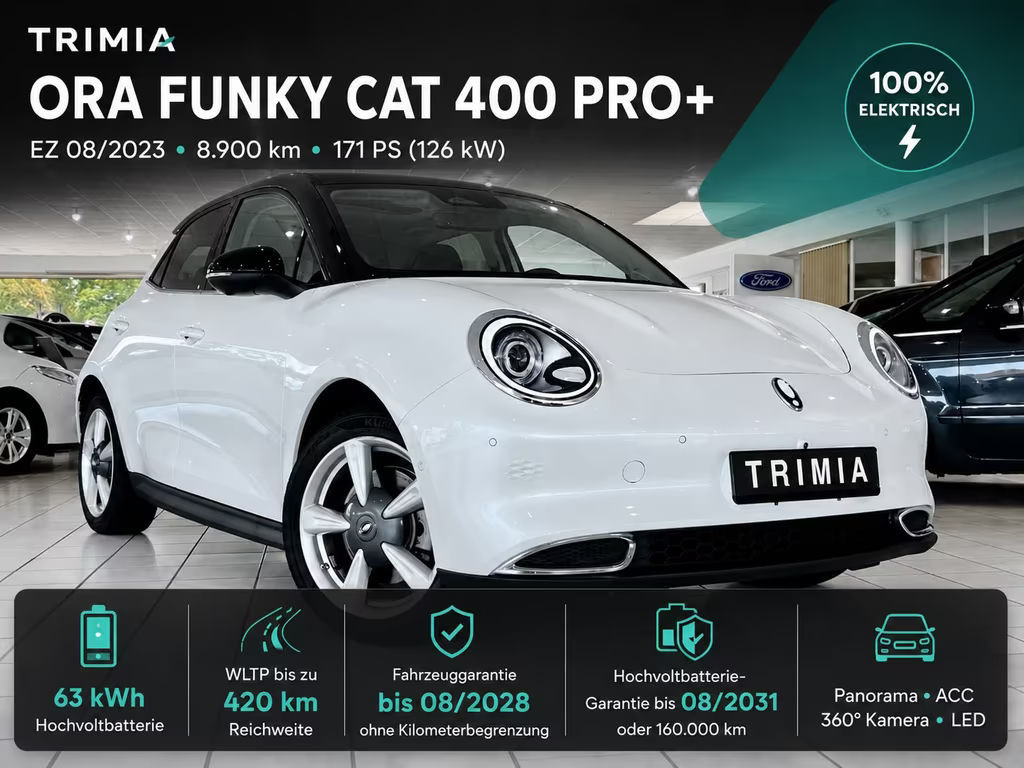 Ora Funky Cat GWM ORA 03 | ACC | PANORAMA | 360° KAMERA | LED