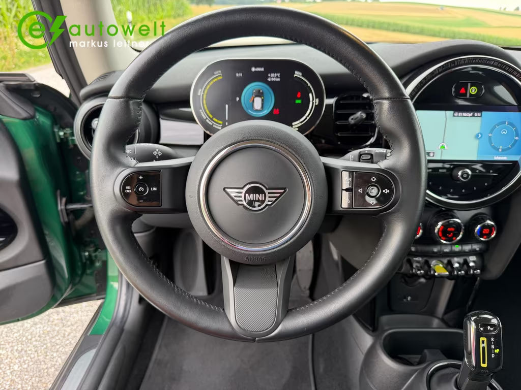 Mini Mini Electric