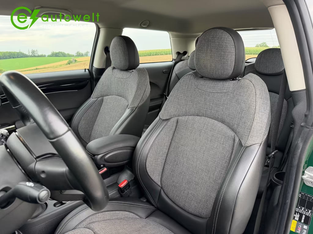 Mini Mini Electric