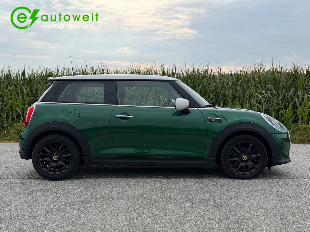 Mini Mini Electric