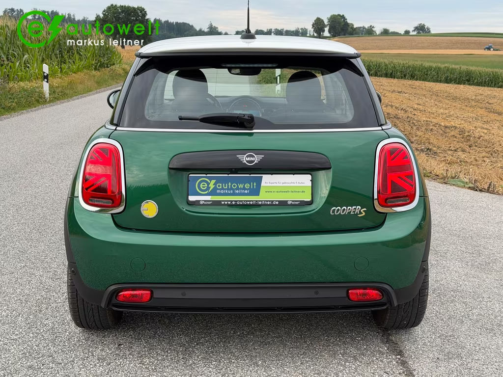 Mini Mini Electric