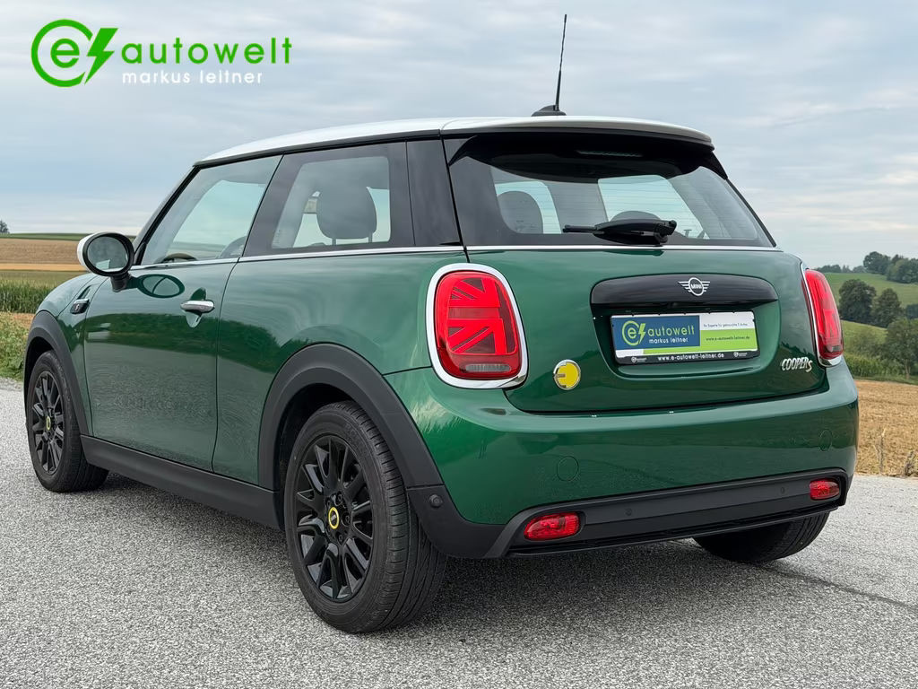 Mini Mini Electric