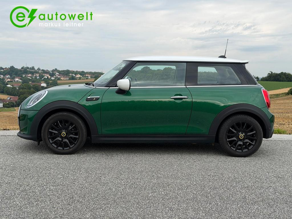 Mini Mini Electric