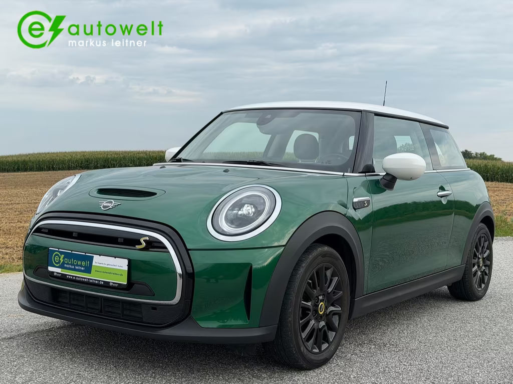 Mini Mini Electric