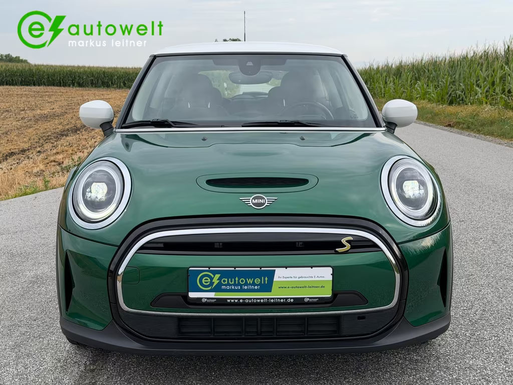 Mini Mini Electric