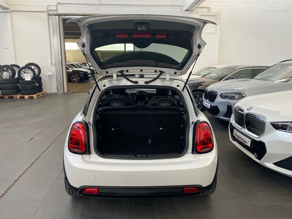 Mini Mini Electric