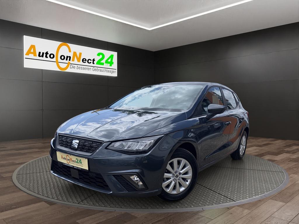 Seat Ibiza Style