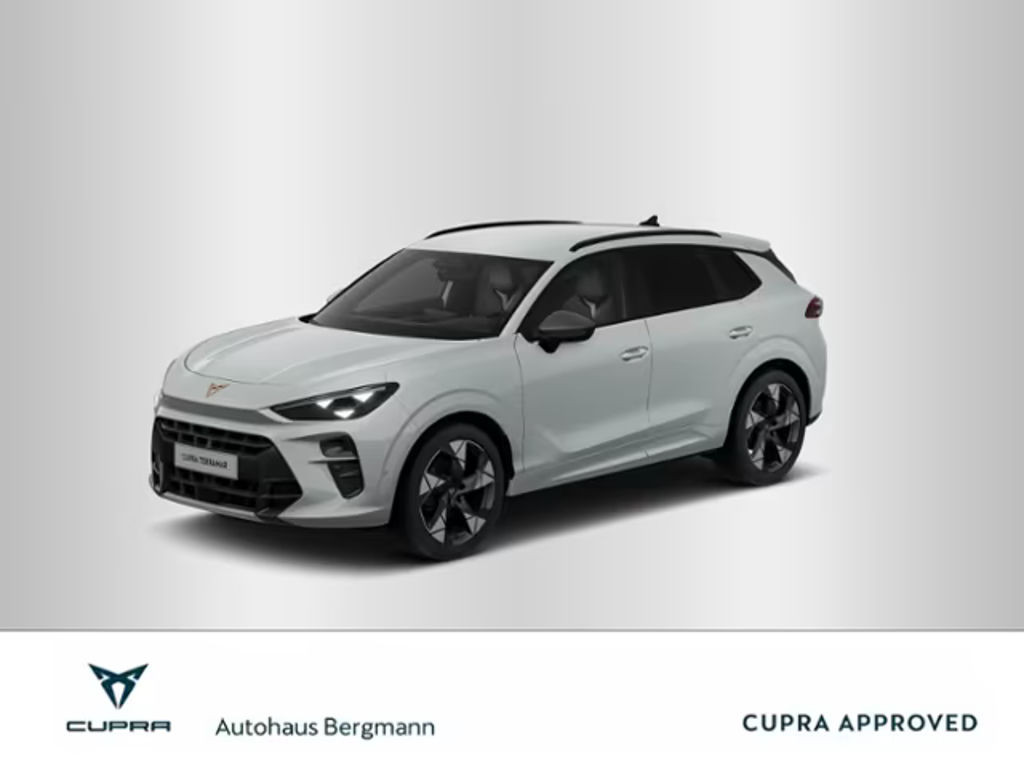 Cupra Terramar 1.5 eTSI