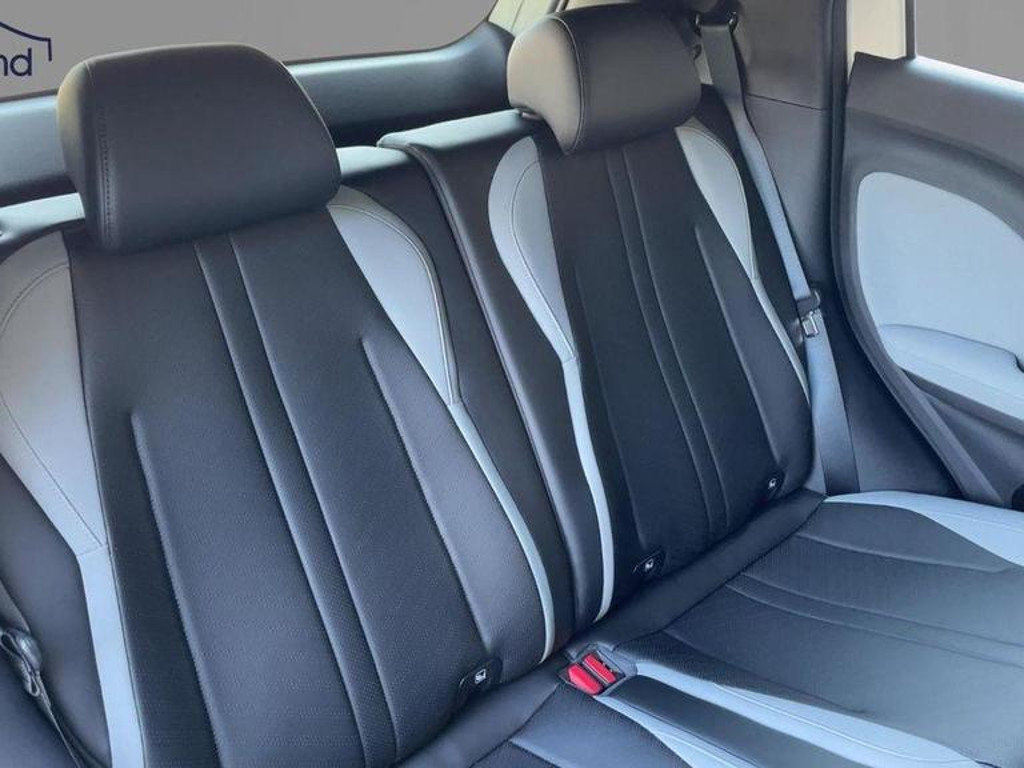BYD Dolphin Surf