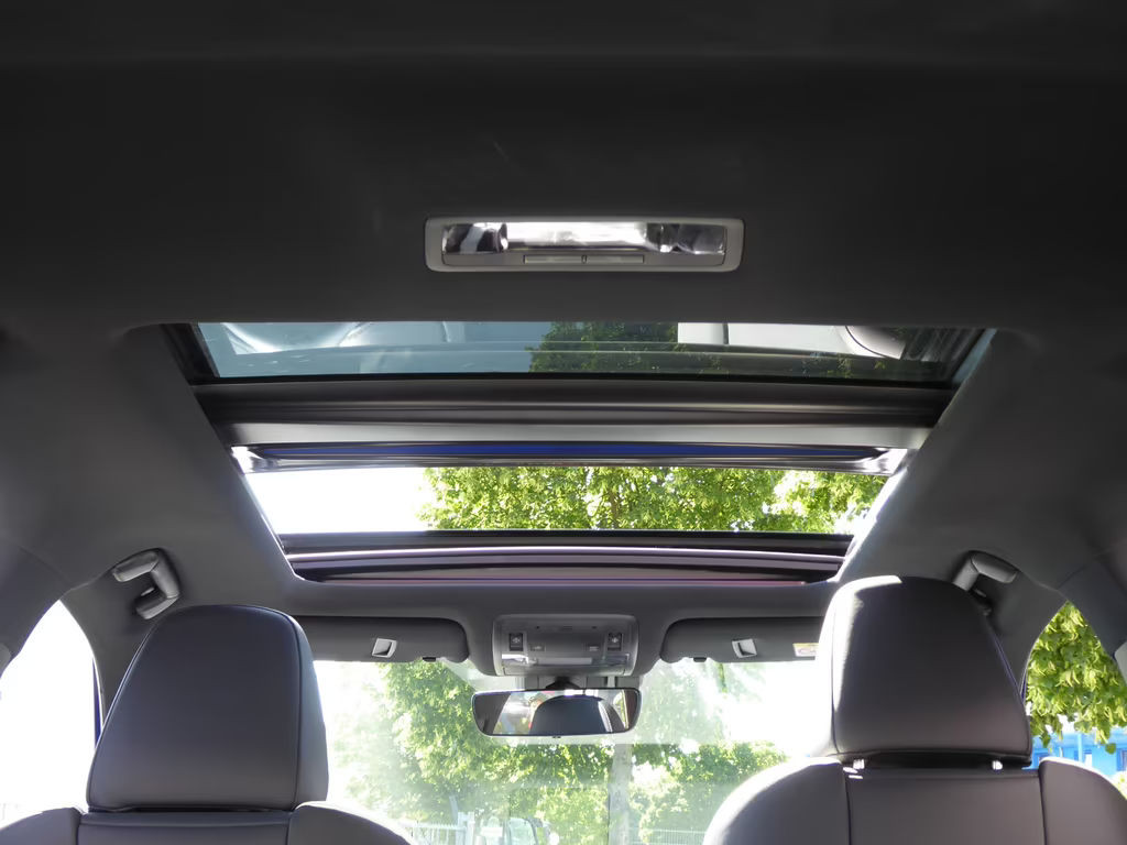 Lexus RX-Serie