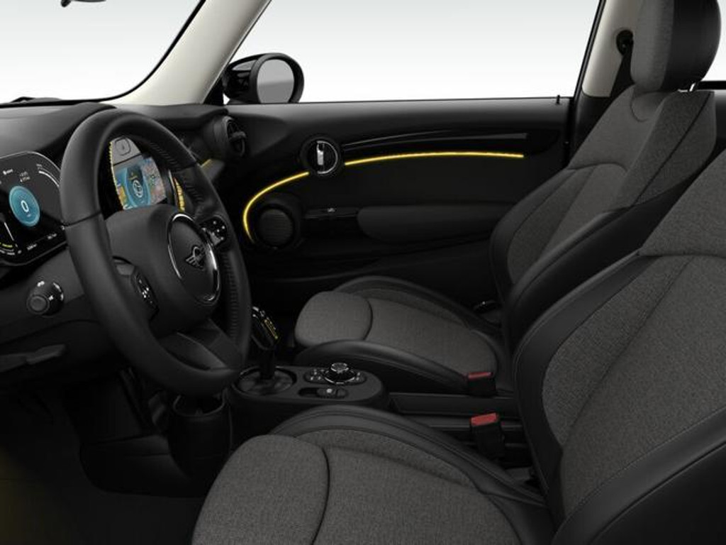 Mini Mini Electric
