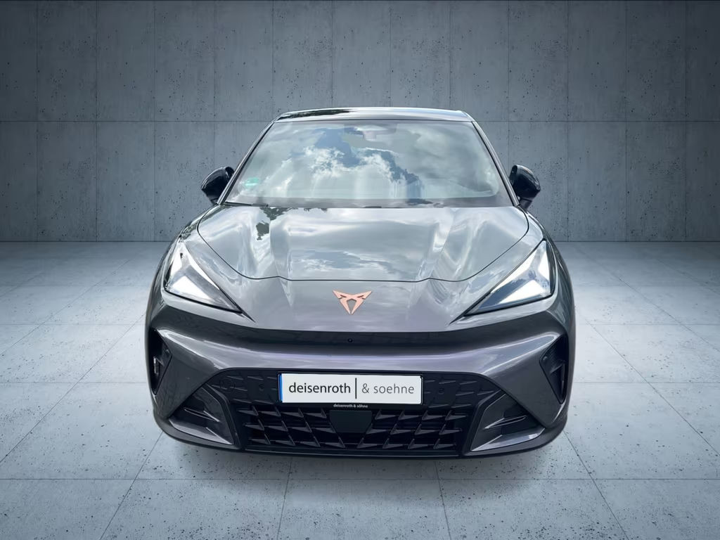 Cupra Raval
