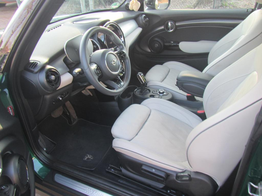Mini Mini Electric