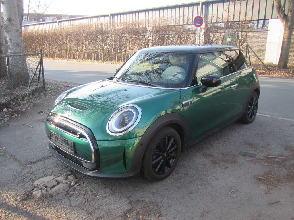 Mini Mini Electric